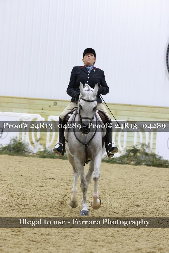 Proof 24R13_04289