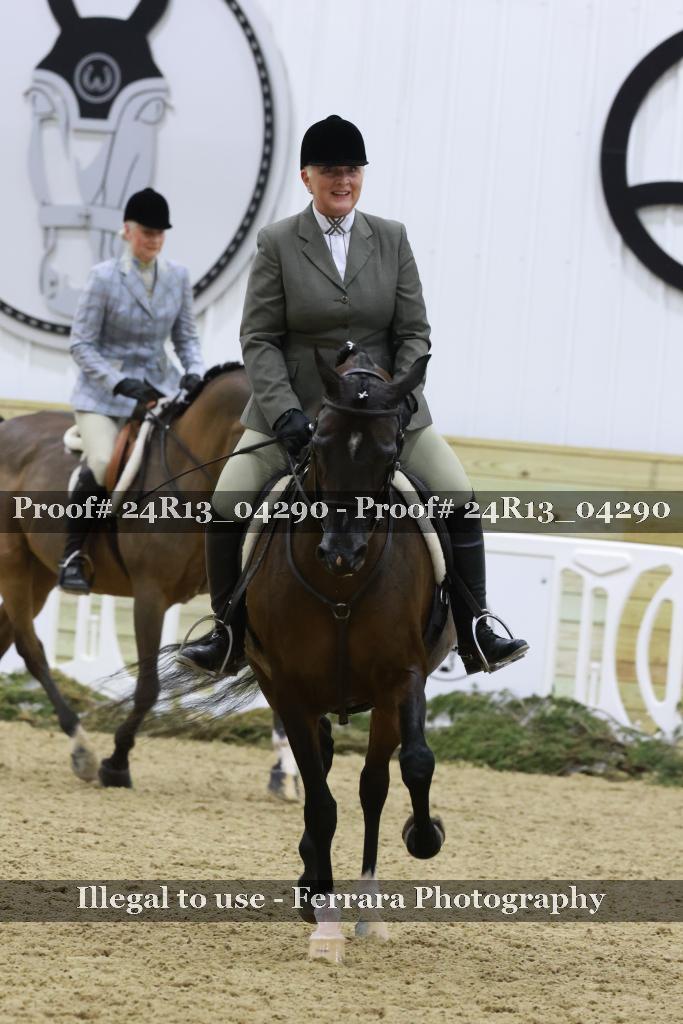 Proof 24R13_04290