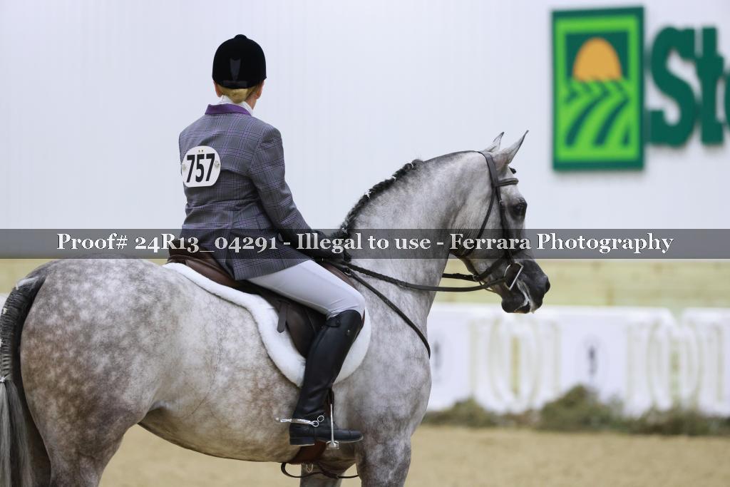 Proof 24R13_04291