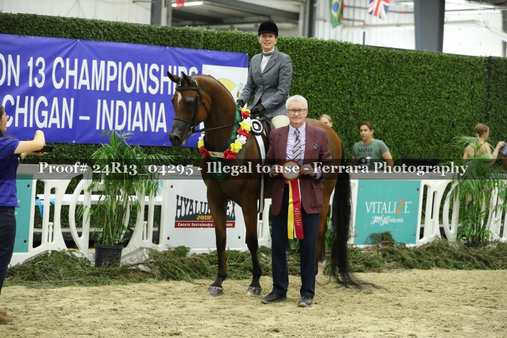 Proof 24R13_04295