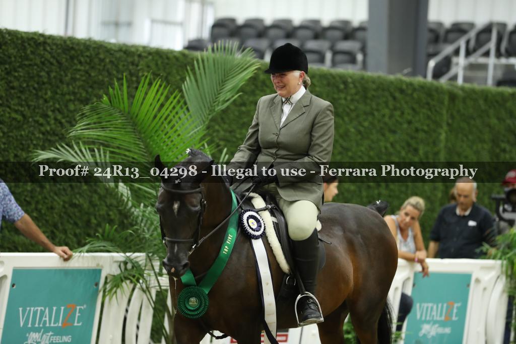 Proof 24R13_04298