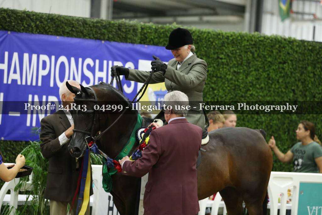 Proof 24R13_04299