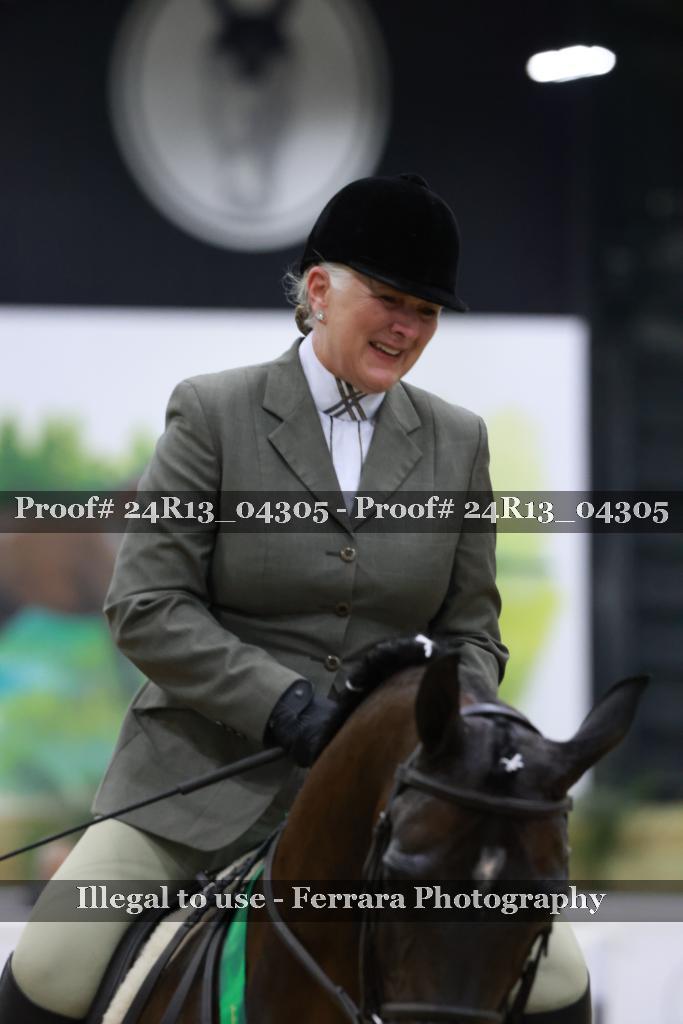 Proof 24R13_04305