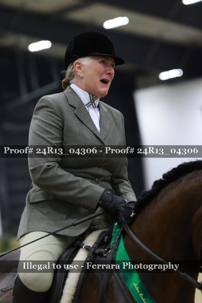 Proof 24R13_04306