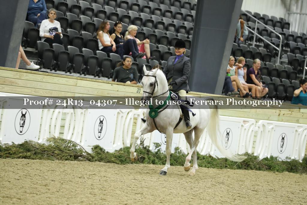 Proof 24R13_04307