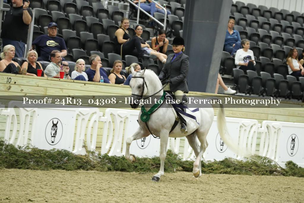 Proof 24R13_04308