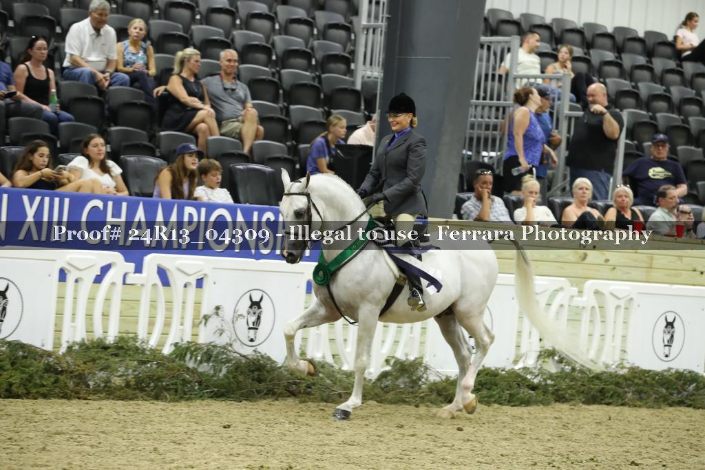 Proof 24R13_04309