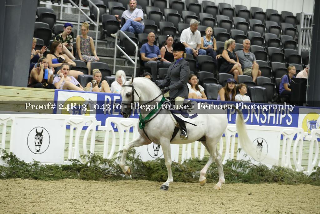 Proof 24R13_04310