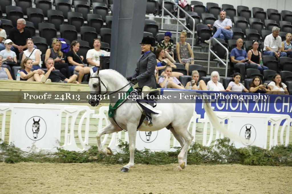 Proof 24R13_04311