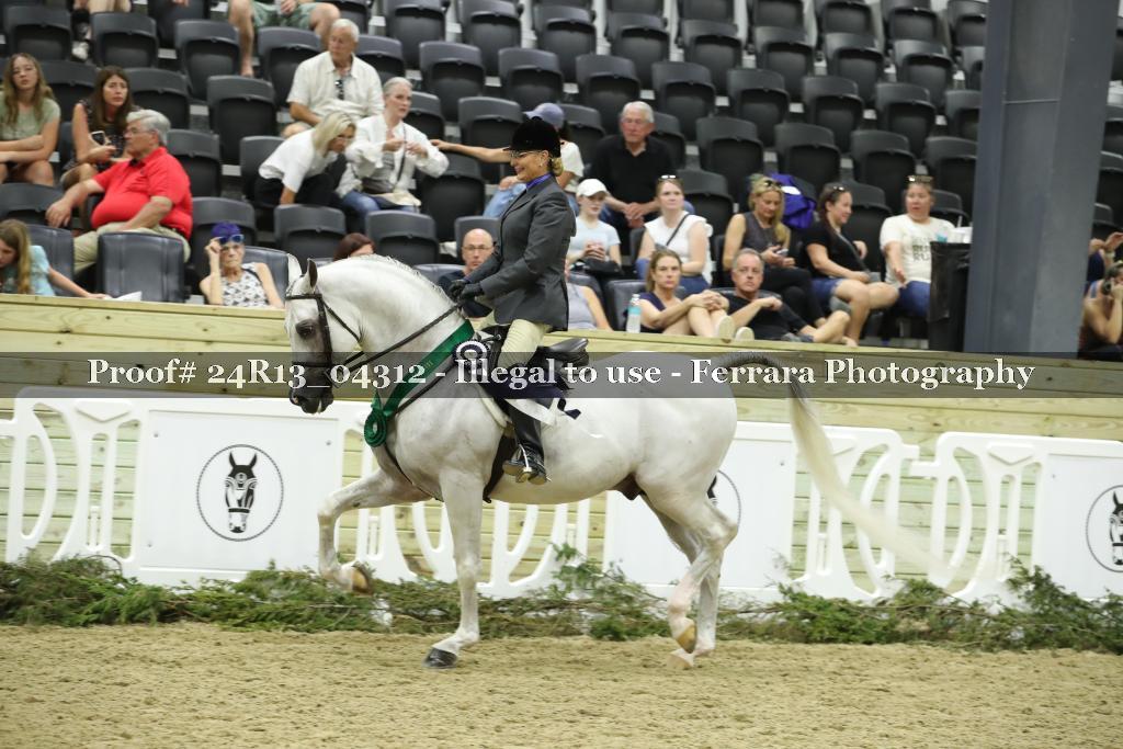 Proof 24R13_04312
