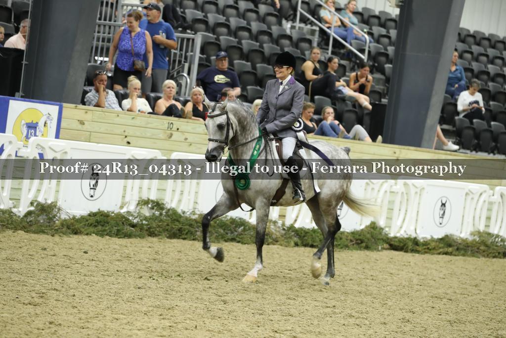 Proof 24R13_04313