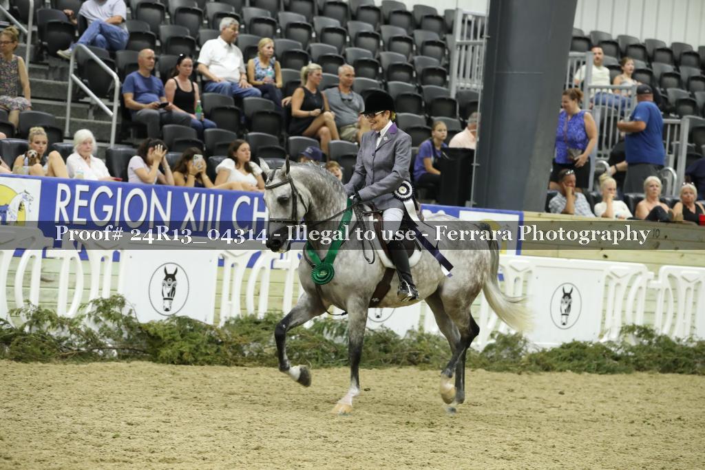 Proof 24R13_04314