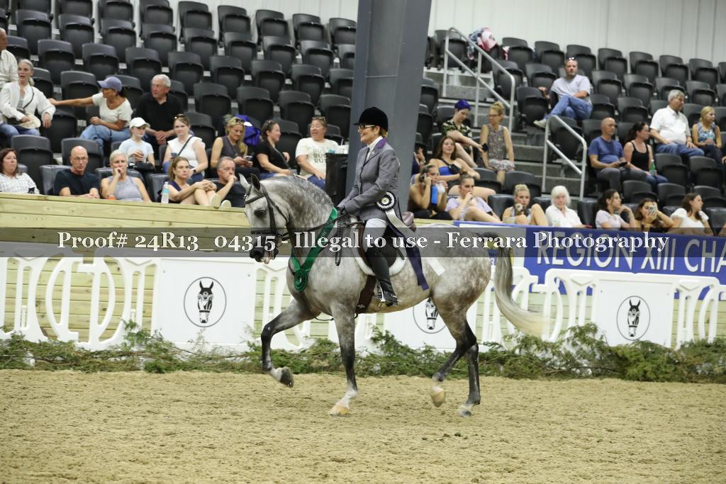 Proof 24R13_04315