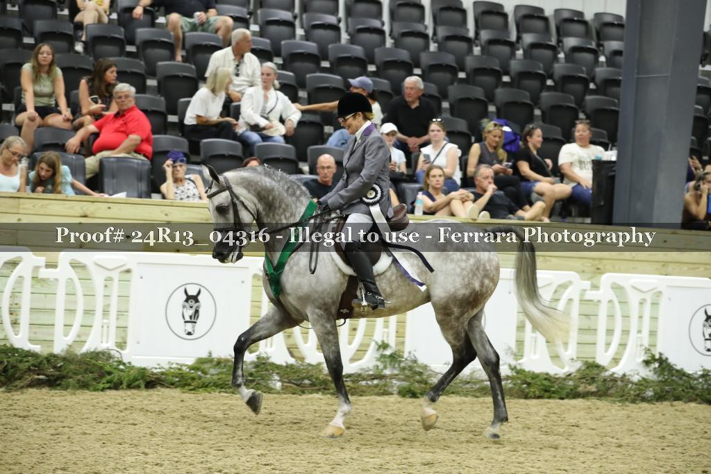 Proof 24R13_04316