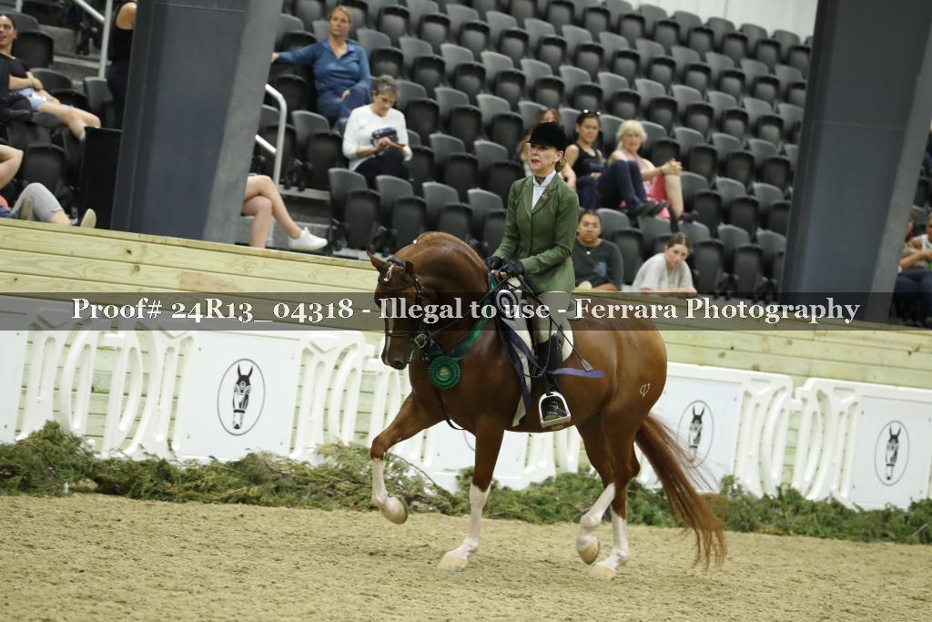 Proof 24R13_04318
