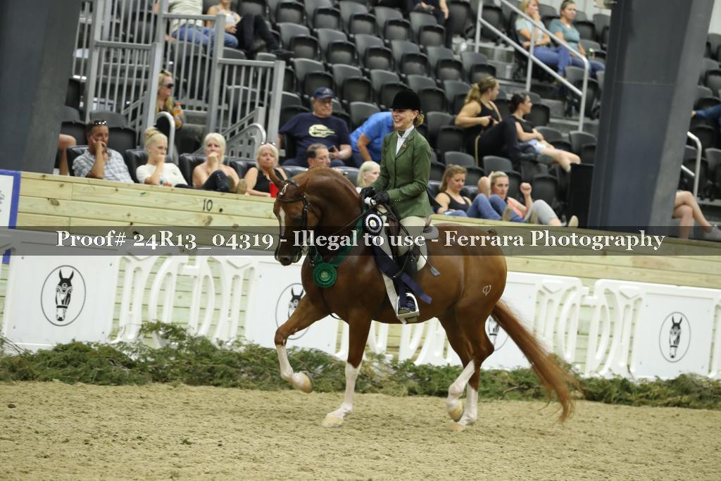 Proof 24R13_04319