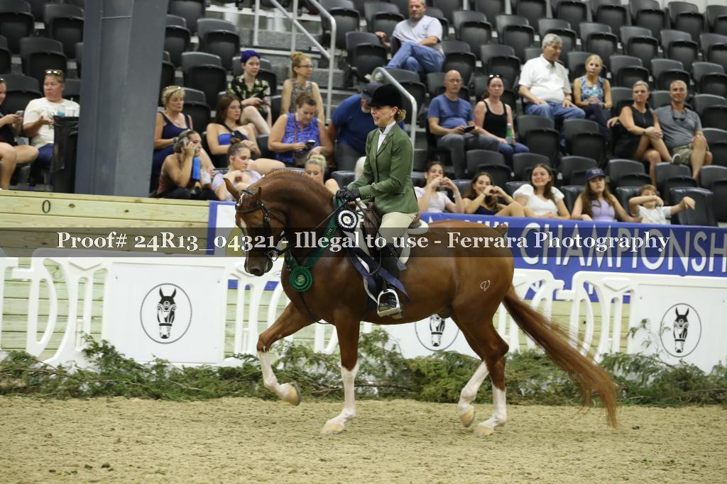 Proof 24R13_04321