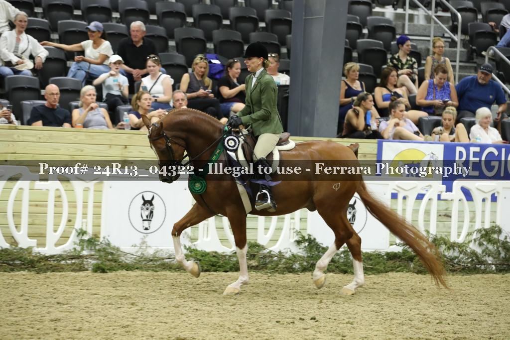 Proof 24R13_04322