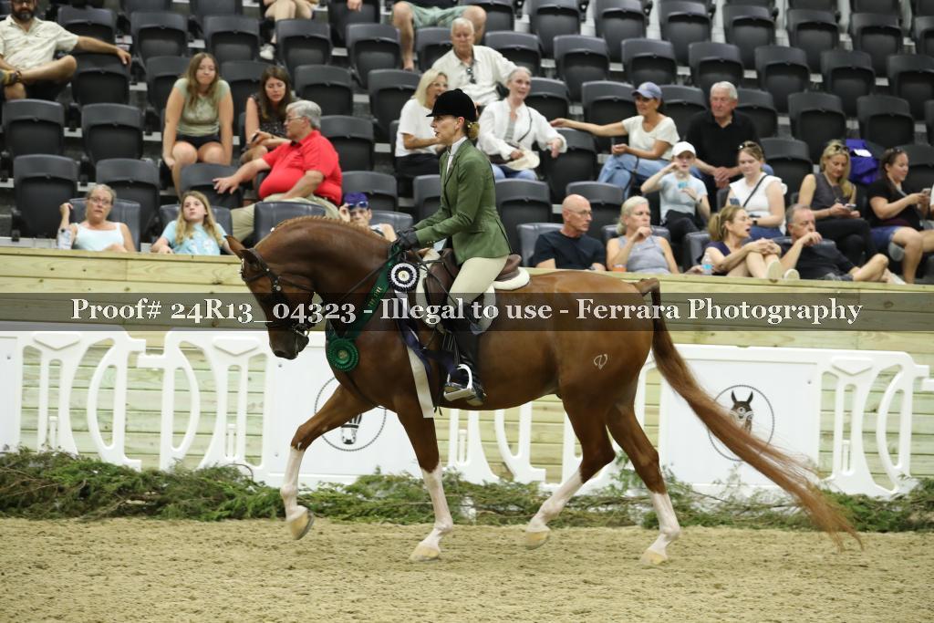 Proof 24R13_04323