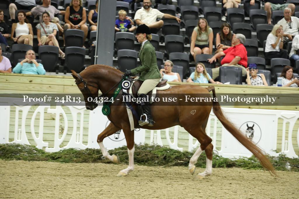 Proof 24R13_04324