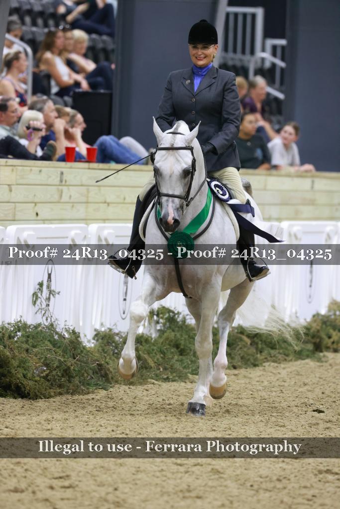 Proof 24R13_04325