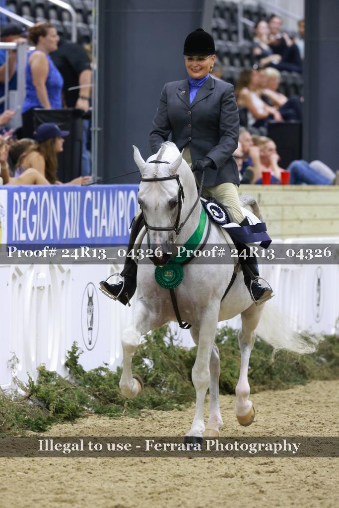 Proof 24R13_04326