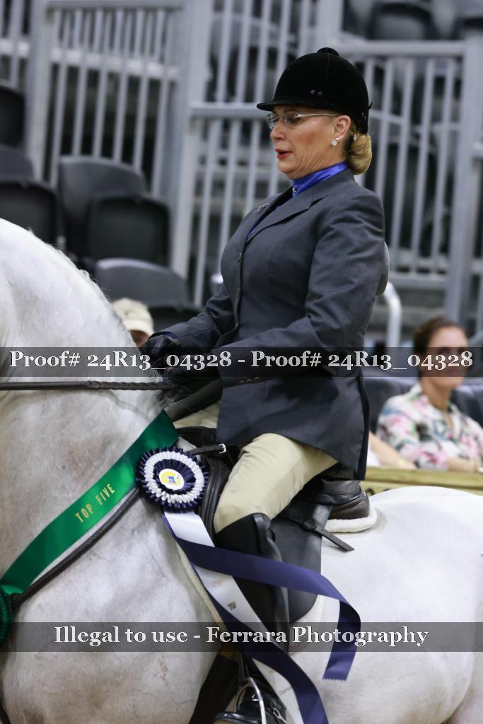 Proof 24R13_04328