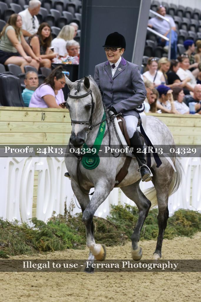 Proof 24R13_04329