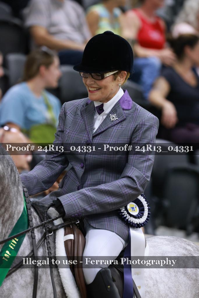 Proof 24R13_04331