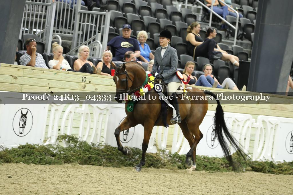 Proof 24R13_04333