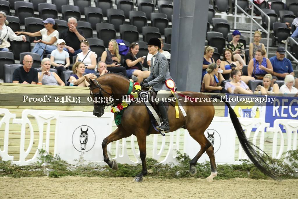 Proof 24R13_04336