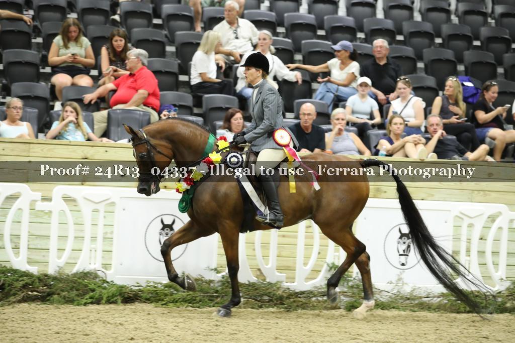 Proof 24R13_04337