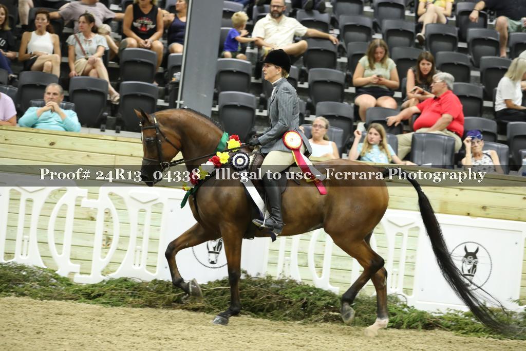 Proof 24R13_04338