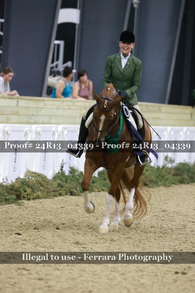 Proof 24R13_04339