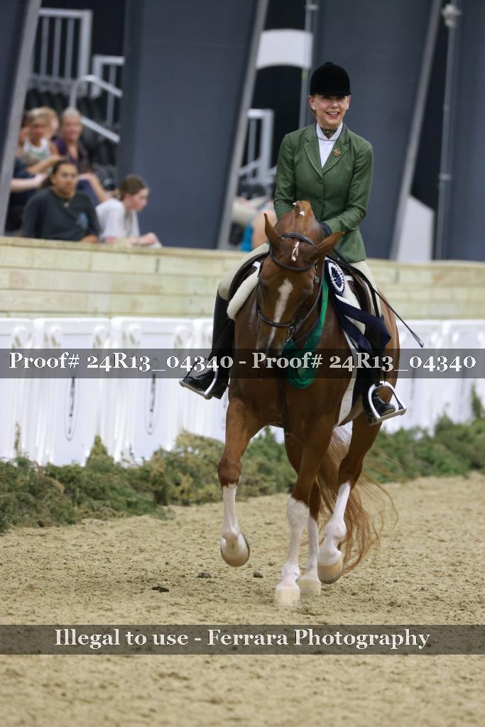 Proof 24R13_04340