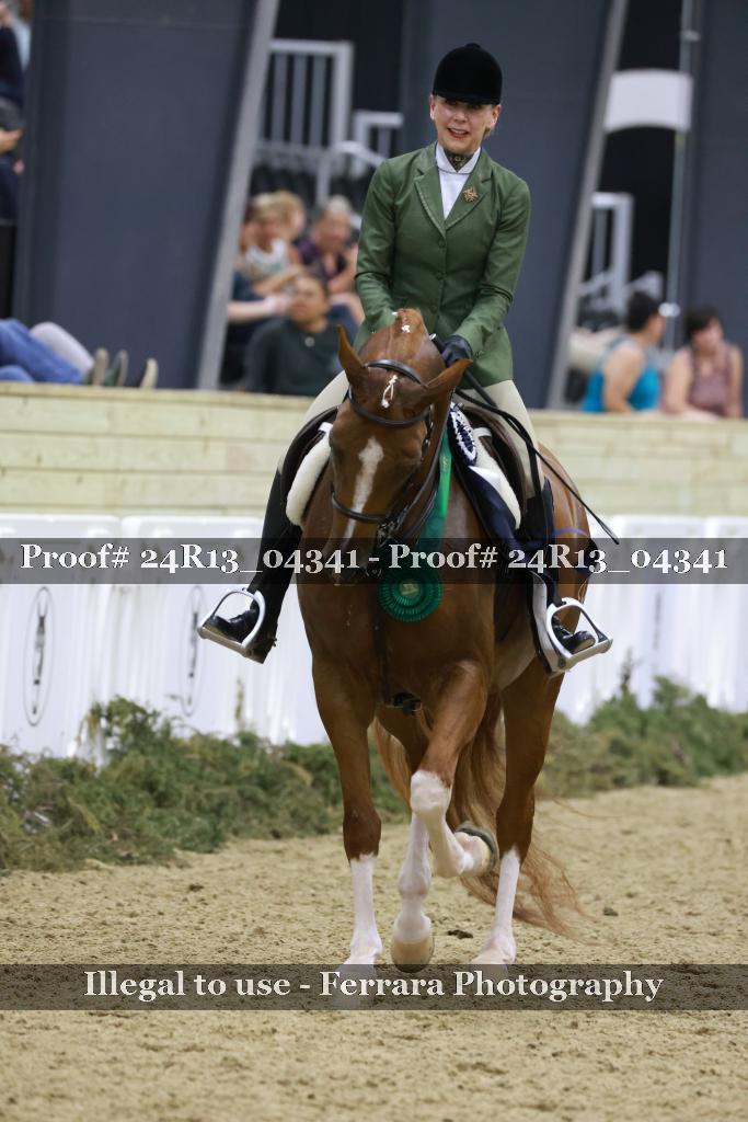 Proof 24R13_04341