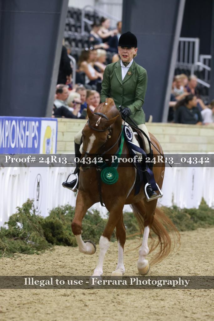 Proof 24R13_04342