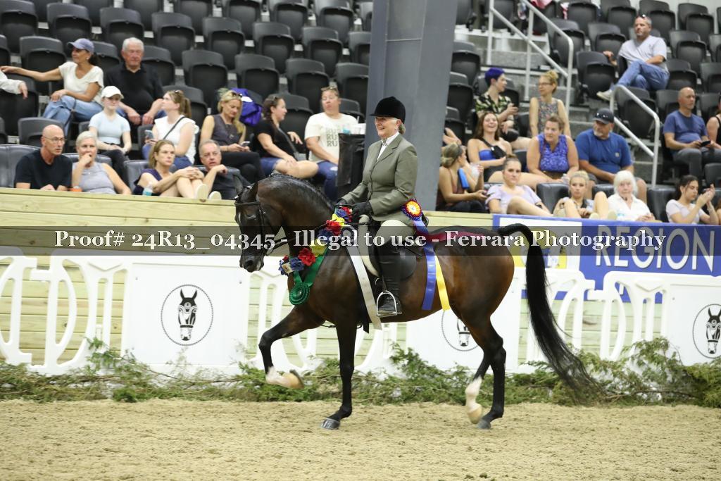 Proof 24R13_04345