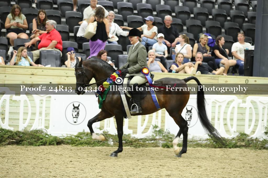 Proof 24R13_04346