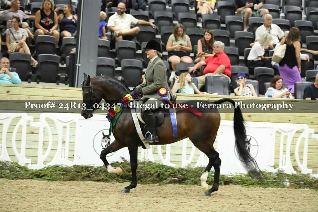 Proof 24R13_04347