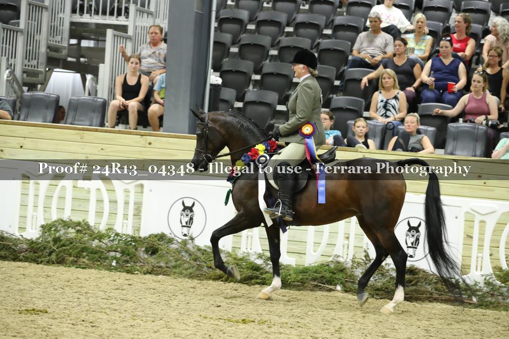 Proof 24R13_04348
