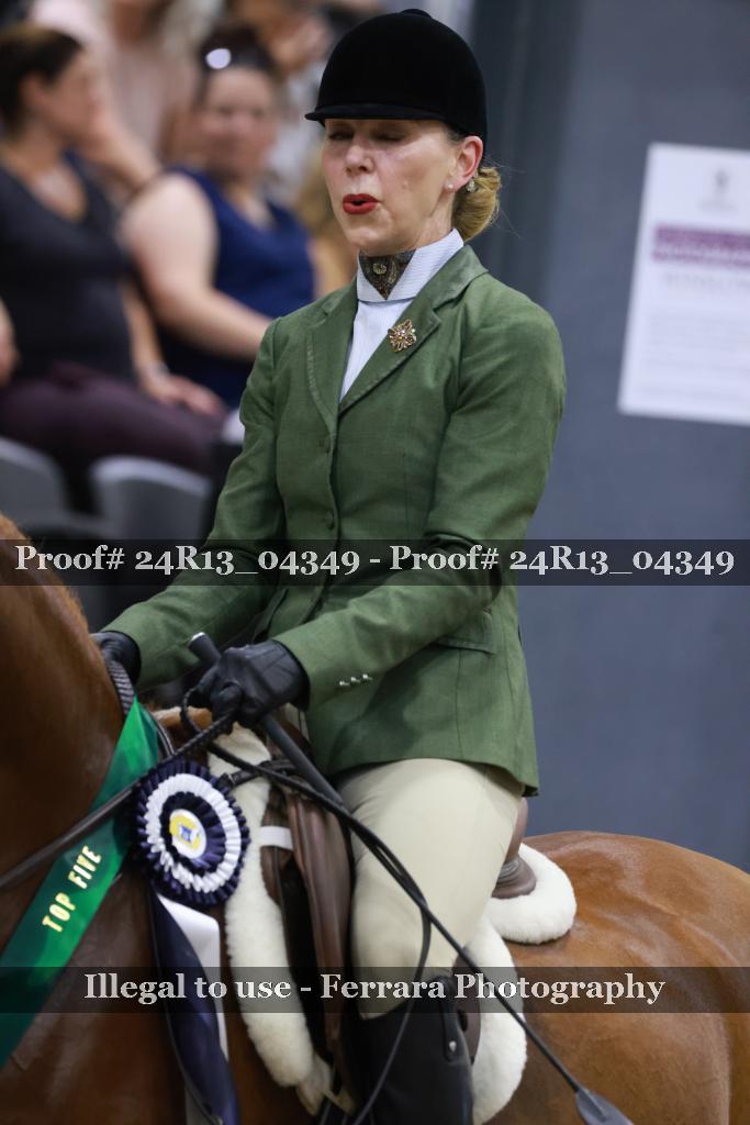Proof 24R13_04349