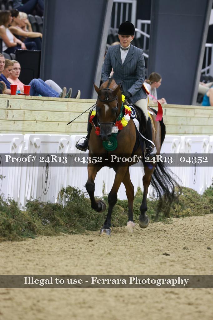 Proof 24R13_04352