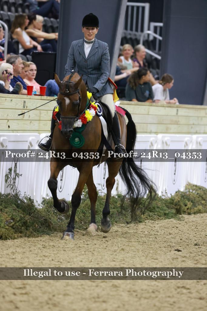 Proof 24R13_04353