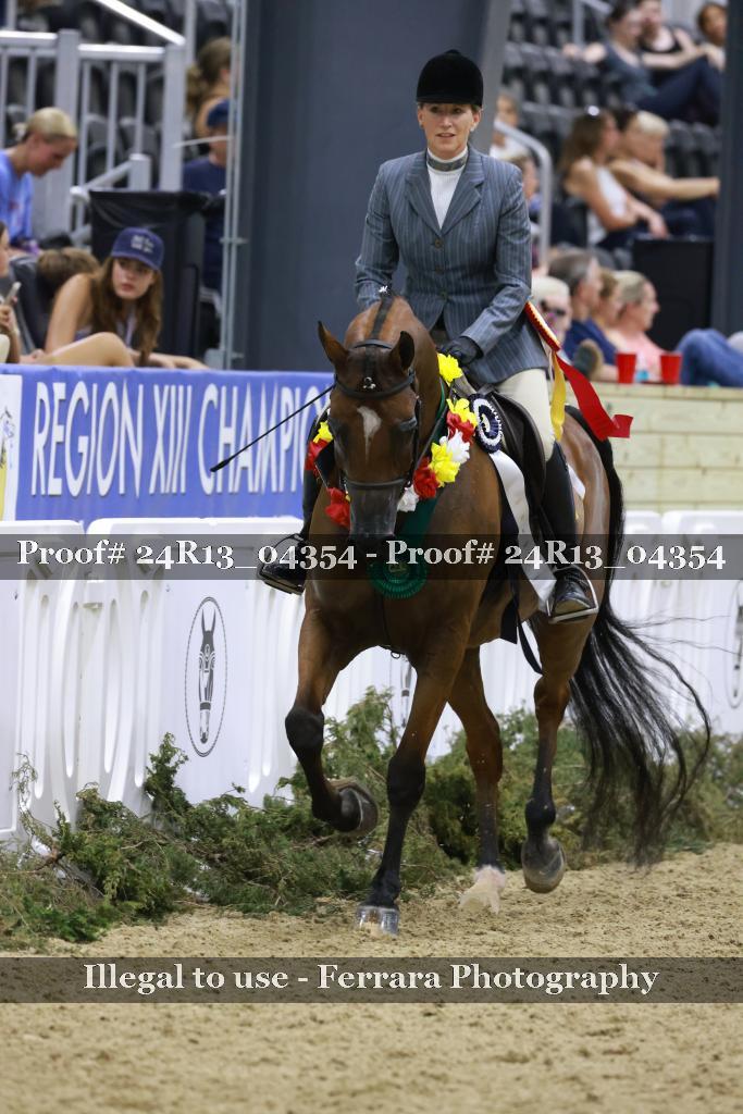 Proof 24R13_04354
