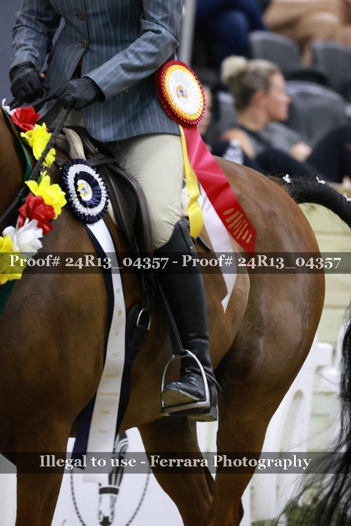 Proof 24R13_04357