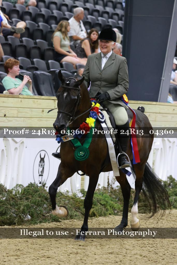 Proof 24R13_04360