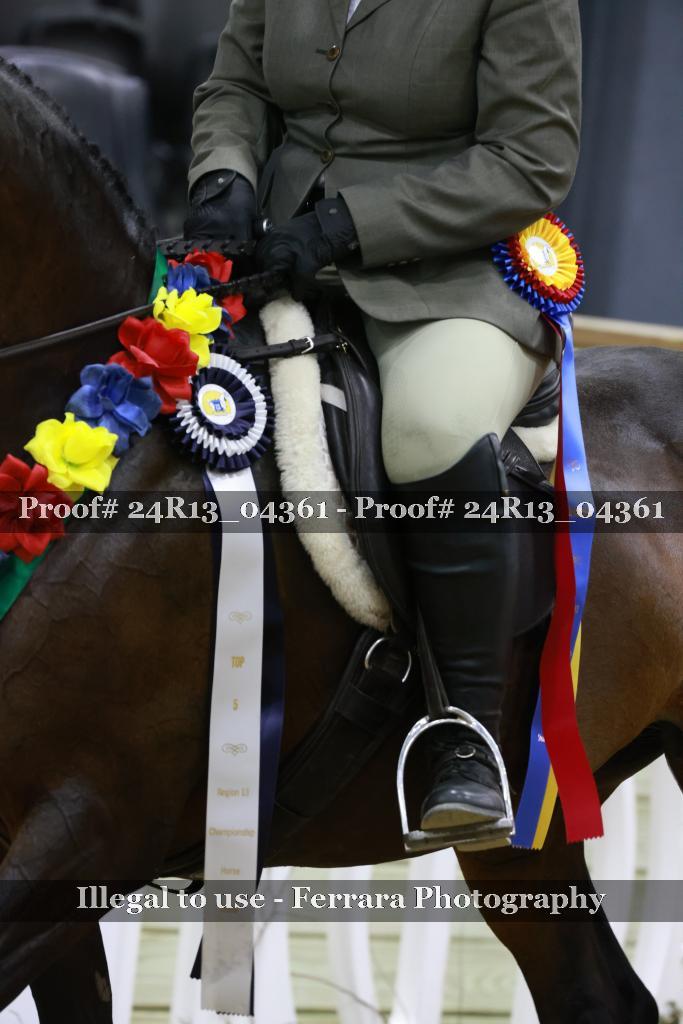 Proof 24R13_04361