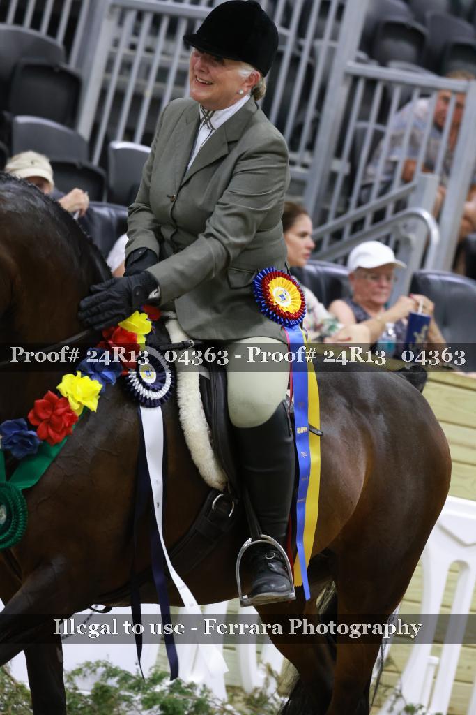 Proof 24R13_04363