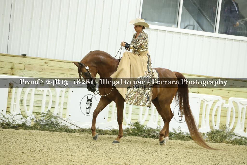 Proof 24R13_18281